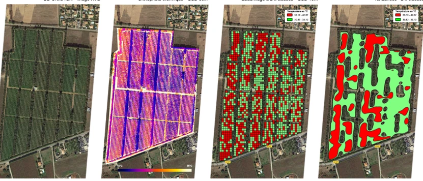 NDVI